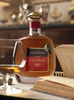 Frank BRUNET D'AUBIAC - FBAP SARL