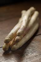 Stephane AUPETIT - STEPHANE AUPETIT PHOTOGRAPHIE